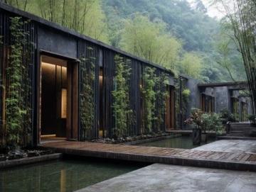 探秘海南昌江霸王嶺:熱帶雨林的天然氧吧