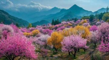 南京橋下長白島桃林春日盛景