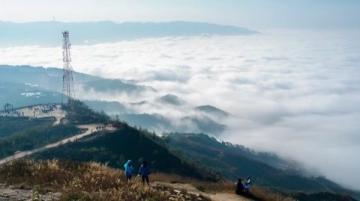 舟山是個極具魅力的旅游勝地,一日游或者兩日游皆適宜