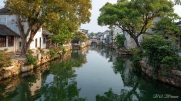 望江南·魚排之韻邱曉輝