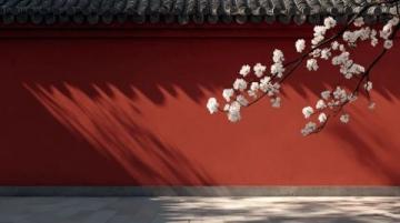 今天去了溧水東廬山觀音寺，傅家邊賞梅，太值了！關鍵免票，免票！機智南京旅攻
