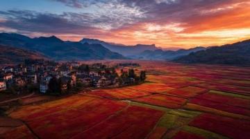 走進春暖花開的閩南美景