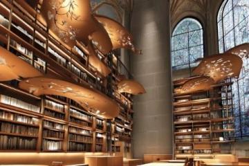 今天在合肥市中心圖書館學習時并沒有向往常一樣等到圖書館和書店還有城市書房都下班了