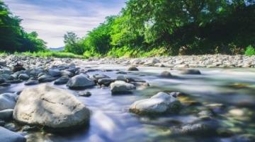 麗水:水質優良的溪魚天堂,華東野生魚類基因庫