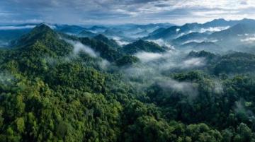 西雙版納旅游攻略:熱帶雨林與傣族文化的完美結合