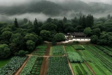 安徽皖南鄉(xiāng)村美食探秘:鄉(xiāng)野味蕾之旅