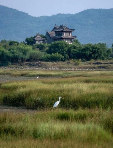 三亞旅游先暫停吧其實三亞真的不是每個景點都要打卡的,。