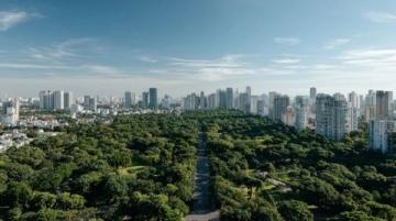 南陽旅游攻略: 一天內體驗歷史、美食和夜游的魅力