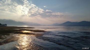 廈門必游景點攻略：鷺島詩意之旅與文化探秘