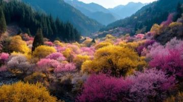 走進春暖花開的閩南美景