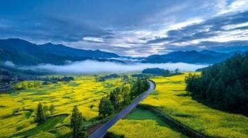 探索沛縣美景：徐州自駕之旅指南