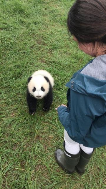 2歲北極看熊,4歲南極看企鵝!這個杭州娃可能創造了世界紀錄!如果有機會