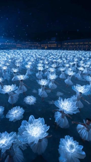 江蘇無錫九龍灣花星球:四季花開的花卉休閑勝地