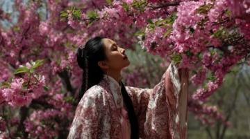 鞍山千山梨花節:非遺與美食盛宴,領略地域風情