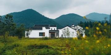 漢中市油菜花一日游攻略:梯田湖光山色美景全體驗