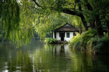 佛山綠島湖游玩指南:探索城市綠肺與生態秘境
