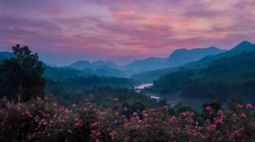 走進春暖花開的閩南美景