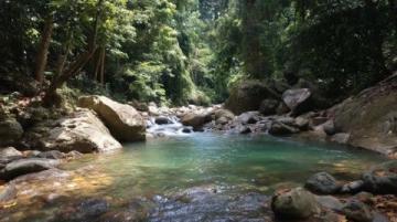 新安江畔三潭枇杷:山水間的甜蜜滋味
