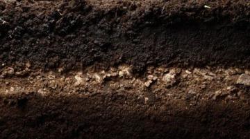 專利突破：四家中企共創環保技術新紀元，泥餅變流態固化土提升反應速率與材料均勻度