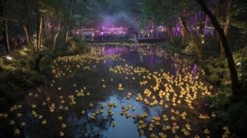 鳳凰湖畔夜幕璀璨：露營節星空下的狂歡盛宴