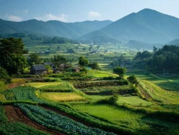 云南8日7晚跟團游：美景美食雙享攻略