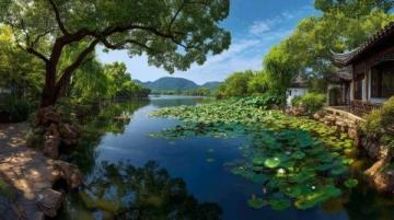 廣東老板創(chuàng)新魚塘經(jīng)營(yíng)策略：從單一產(chǎn)品到多樣化服務(wù)的成功轉(zhuǎn)型