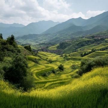 走進春暖花開的閩南美景