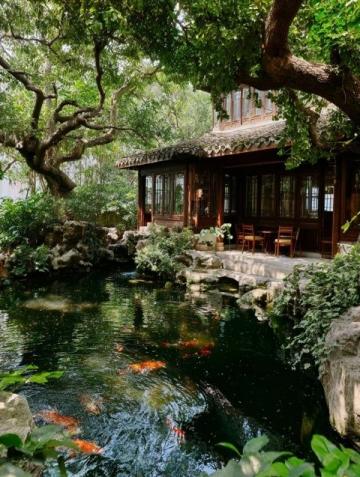 廣東老板創(chuàng)新魚塘經(jīng)營(yíng)策略：從單一產(chǎn)品到多樣化服務(wù)的成功轉(zhuǎn)型