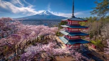 14日游日本篇·第三天