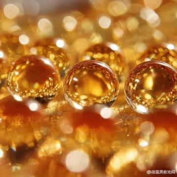豆油技術(shù)分析：供應(yīng)充足需求疲軟下的價(jià)格走勢(shì)判斷