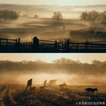 2019年南寧全城的扁桃欠收，于是整座城市缺少了一年一度的雨果節