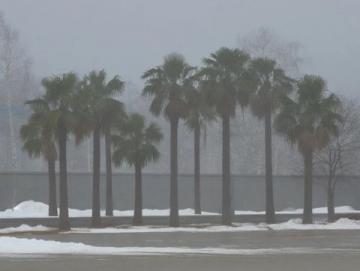 雪終于來了！河南鄭州出現大暴雪，河南局地積雪深度超20厘米,前些日子天氣預報說