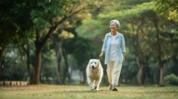 寵物養護專家徐藝桓：狗狗腎臟保健美食推薦