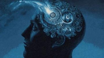 震驚!七大逆天冷知識揭秘,末一條令人瞠目結舌!