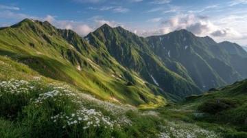 川西秘境：三月春光中，絕美花海引領顏值巔峰