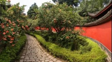 速來打卡！廣州近郊現絕美“印象派”，兩日浪漫之旅不容錯過！
