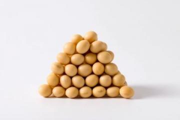 納豆的基本常識有哪些？