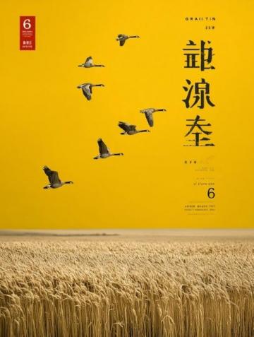 揭秘夏日熱土|潁州盛夏記:花鼓燈節(jié)、智能稻田與公益助學(xué)新篇章