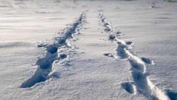 冬季雪天行車安全指南:全面準備與駕駛技巧須知