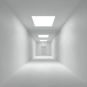 在家如何給兔子洗澡?冷水澡這樣做,兔兔舒服不抗拒!