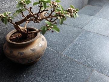 探索日照莒國古城:一份實用旅游指南