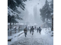 雪終于來了！河南鄭州出現大暴雪，河南局地積雪深度超20厘米,前些日子天氣預報說