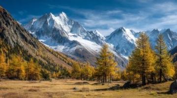 2024年阿勒泰秋季之旅：喀納斯至禾木的精彩探索與日出之約