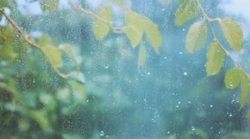 小雨再次淅瀝落下