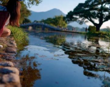 上海崇明十大必游景點,自然與文化的完美融合