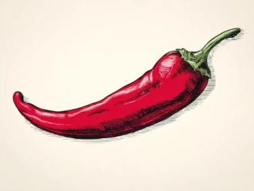 標題你不知道的冷知識辣椒的那些事,真是太有趣了!