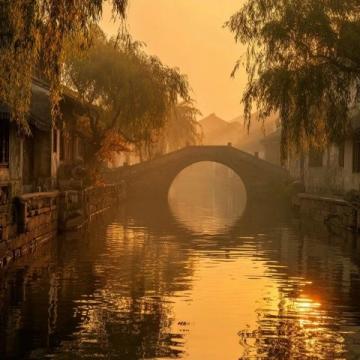 上海崇明十大必游景點,自然與文化的完美融合