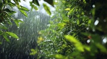 雨季安全小知識(雨季安全小知識，你知道多少？)