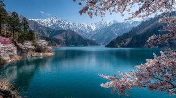 西湖C位梅花季：孤山探梅之旅（2.22-3.5）