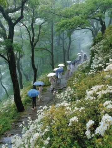 暴雨天氣防災攻略：如何預防山洪泥石流等災害？